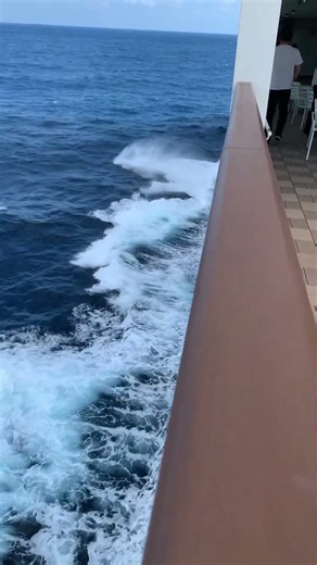 新日本海フェリー けやきに乗ってみた。新造船のはまなすとすれ違った。