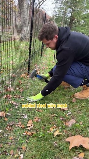 How to Stop Dogs from Digging or Jumping Fences | Dog Proofer