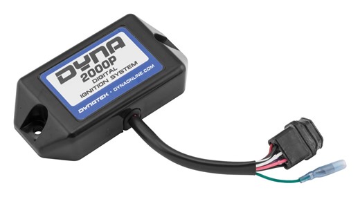 The Indian Larry Twisted Frame Chopper | J&P Custom Motorcycle Builds