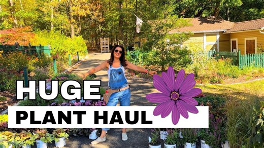 Huge Perennial Plant Haul – Unboxing & Labels