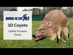 3D Coyote Decoy: Silent Predator Deterrent for Birds & Small Pests