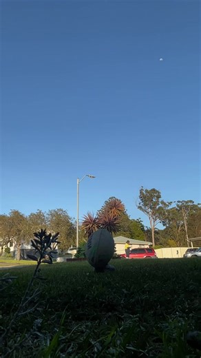 Cutie pie❤️❤️❤️❤️❤️ (@mahalia.morriss)’s videos with GOAT - Bazanji