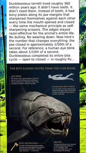This Ancient Fish Killed Faster Than You Can Blink…”