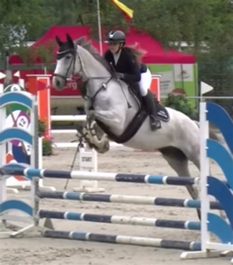 #turnier #turnierreiten #equestrian #saison #springreiten