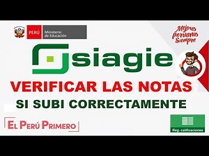 Verify if I entered my notes into SIAGIE CORRECTLY.