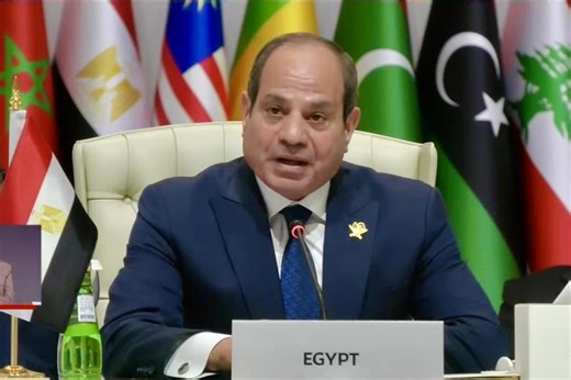 Israel crossed all red lines: El-Sisi to Doha summit - Foreign Affairs - Egypt