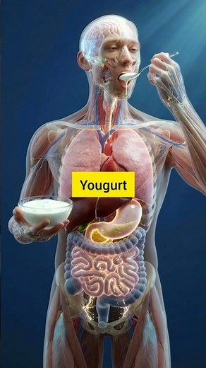 What Happens When You Eat Yogurt on an Empty Stomach? | 3D Medical Animation