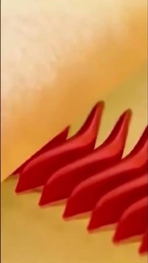 How do crickets chirp?