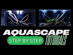 Complete Aquascaping Beginners Guide Learn ALL The Basics!
