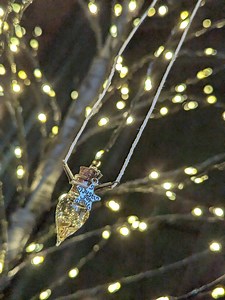 Pendentif diffuseur d'huiles essentielles Protection automnale - Etsy France