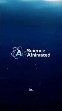 How sharks made fighter jets faster