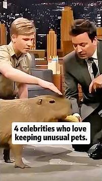 4 Celebrities Who Love Keeping Unusual Pets 😳