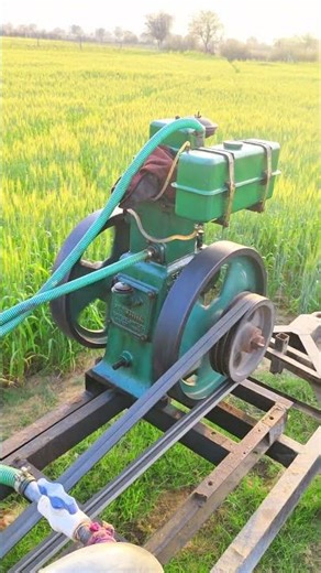 fm 8 hp di engine Kirloskar brothers Ltd #irrigation #field #farming #agriculture #lister #farming