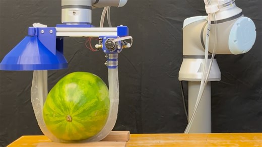 Vine-Like Gripper Could Help Caregivers, Elderly