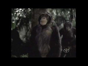 Charlie Rose funding credits (September 12, 2001)