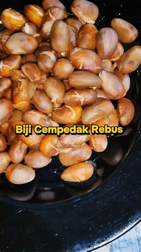 biji Cempedak rebus #bijicempedakrebus #bijicempedak #cempedak #food #cooking #mukbang