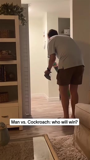 The insect invasion 😂😂#omg #scared #funny #insect #fyp | insects