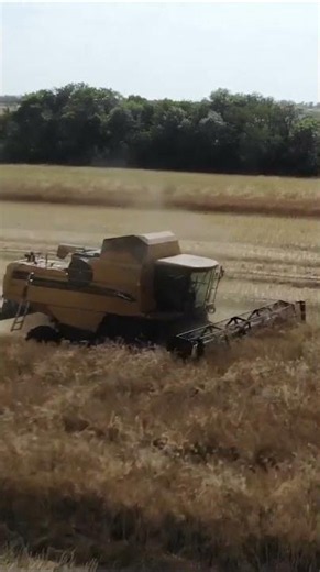 Canola processed at full speed #Claascanola