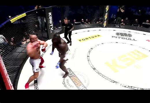 大力士马瑞斯转战MMA，化身一拳超人，直接KO对手！ #大力士 #马瑞斯 #大力出奇迹