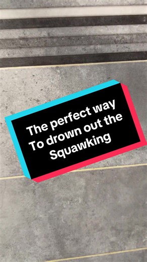 This waterproof speaker is perfect for playing meditation music while relaxing in the bath or on full blast while having a quick shower #waterproofspeaker #speaker #shower #bath #giftidea