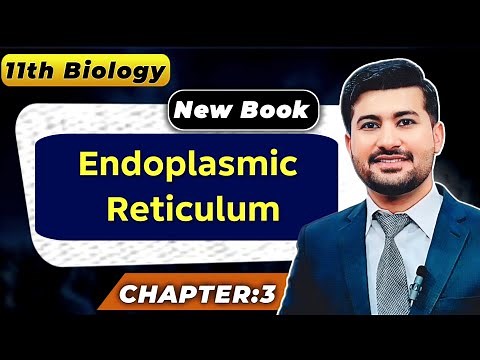 Endoplasmic Reticulum (ER) - Structure & Functions | Class 11 Biology Chapter 3 | Irtisam's Biology