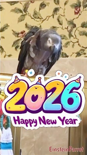 Einstein is shakin' in the new year and doing a new year's ball drop! Weeee! #shorts