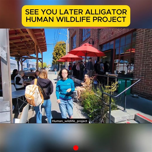 55K views · 1.1K reactions | human wildlife project | Empoderadas en Cristo | Facebook