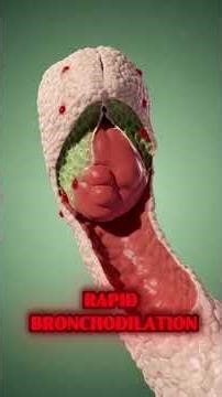 What Happens When You Take Salbutamol? (3D Medical Visual)