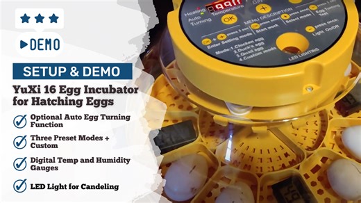 Watch Part 1 Setup & Demo - YuXi 16 Egg Incubator for Hatching on Amazon Live