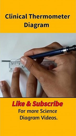 Clinical Thermometer Diagram. #clinicalthermometer #thermometer #class7