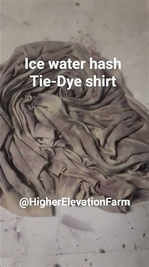 Ice Hash water tie-dye experiment