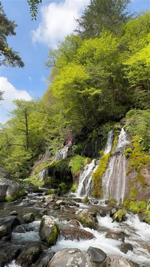 清泉寮 | 八ヶ岳 清里高原 ソフトクリームと宿泊施設 on Instagram: "夏の清涼感を歩いて楽しむ「吐竜の滝」 清泉寮の西側には、北杜市の名水スポット「吐竜の滝」がある川俣渓谷が広がっています。 吐竜の滝は岩間から絹糸のように水が流れ落ちる神秘的なスポットで、自然の力強さと静けさを同時に感じさせてくれます。 また美しい苔が織りなす光景から、畳敷きの滝と表現されることもあります。 清泉寮から車で5分、駐車場も整備されていますので夏の散策にぴったりです。 清泉寮の土台や石垣、聖アンデレ教会など各所に見られる数千もの大きな石たちは、開拓当時の人々によって一つずつ手仕事で渓谷から引き上げられました。重労働にも思えますが、実は貴重な就労機会として行われたとのことです。 #清泉寮 #清里 #北杜市 #山梨 #八ヶ岳 #皆アルプス #富士山 #山梨観光 #山梨旅行 #清里観光 #八ヶ岳観光 #吐竜の滝 #滝 #絶景スポット #涼しい #避暑地"