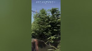 ghost recon wildlands camping