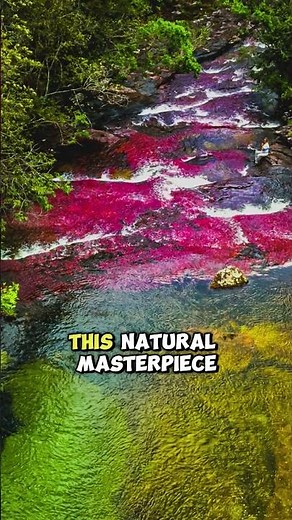 Colombia’s Liquid Rainbow River 🌈 || #river #nature #facts