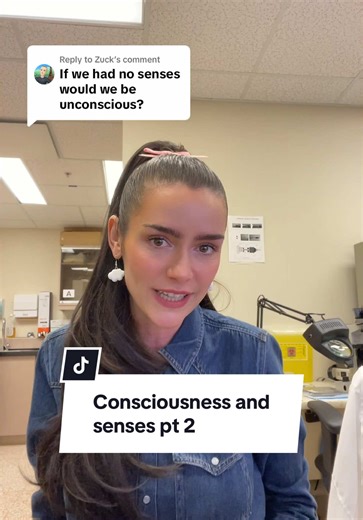 Exploring Consciousness and Senses in Neuroscience