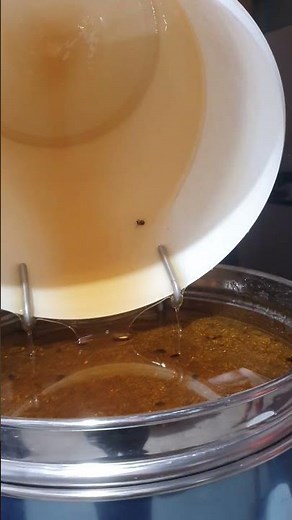 Basic Lyson Bottling Set-Up