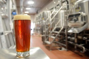 India Pale Ale (IPA) vs. Double IPA (DIPA): What’s the Difference?