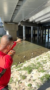 Fishing without bait | Tao Liu