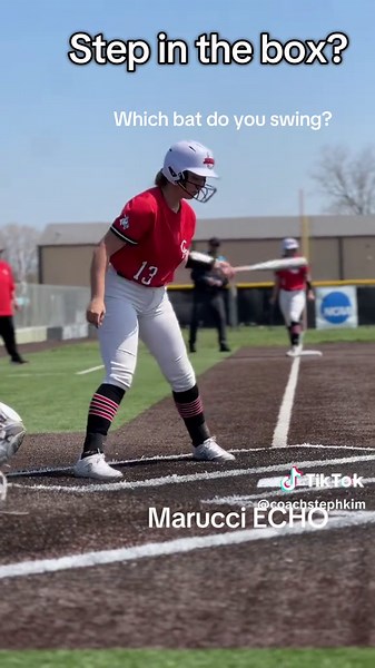 Baseball Bat Survey: Share Your Preferences