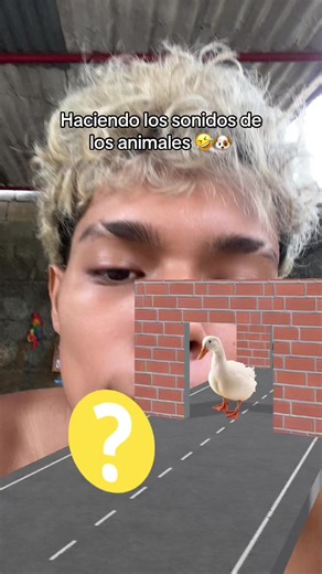 Los sonidos de los animales 🤣 #filtro #juegos #animales | animal sound filter