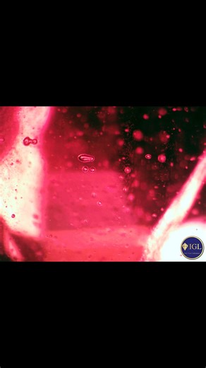 Curved striae, curved color banding, gas bubbles and elongated gas bubbles inclusions in synthetic ruby and synthetic sapphire | IGL Inter Gem Laboratory