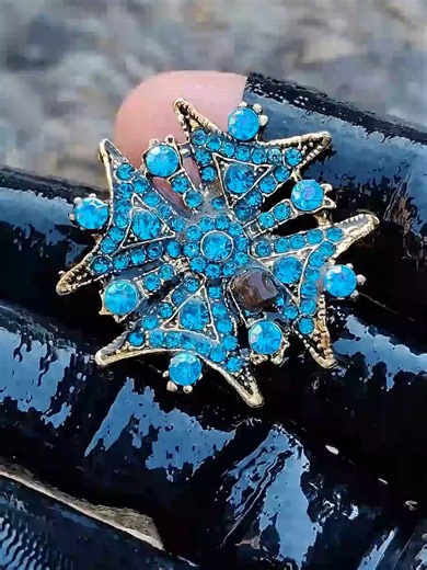Antique Jewel Discovery Using Metal Detector