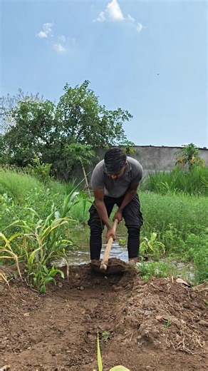 Indian farmer working in the field 🌱 #Shorts