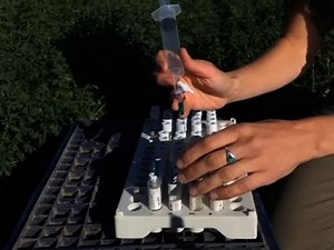 Measurement of Greenhouse Gas Flux from Agricultural Soils Using Static Chambers