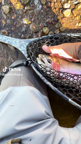 PuebloFlyGuy on TikTok