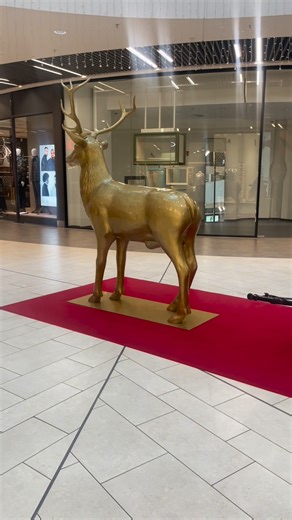 Shaka Thompson on Reels | Facebook