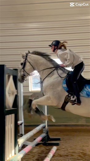 What a honor to ride this horse❤️❤️❤️ #horse #4urpage #equestrian #like #shorts #fyp #viral #riding