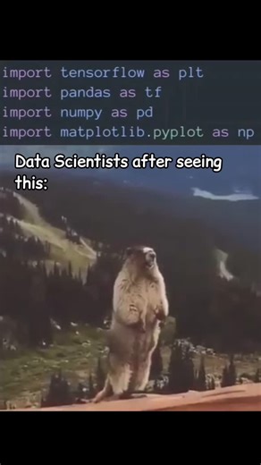 Ashish Singh on Instagram: "One wrong import statement and suddenly I’m debugging my life choices instead of my model 🥴 #datascience #tensorflow #numpy #matplotlib #bioinformatics"