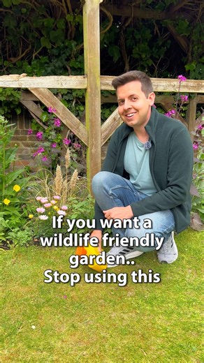 I haven’t used bug killer sprays for years and my garden is much better off without them 🌸