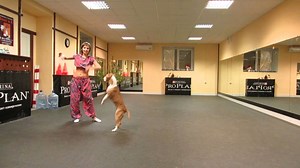 Pit Bull’s Dance Routine Will Blow Your Mind!